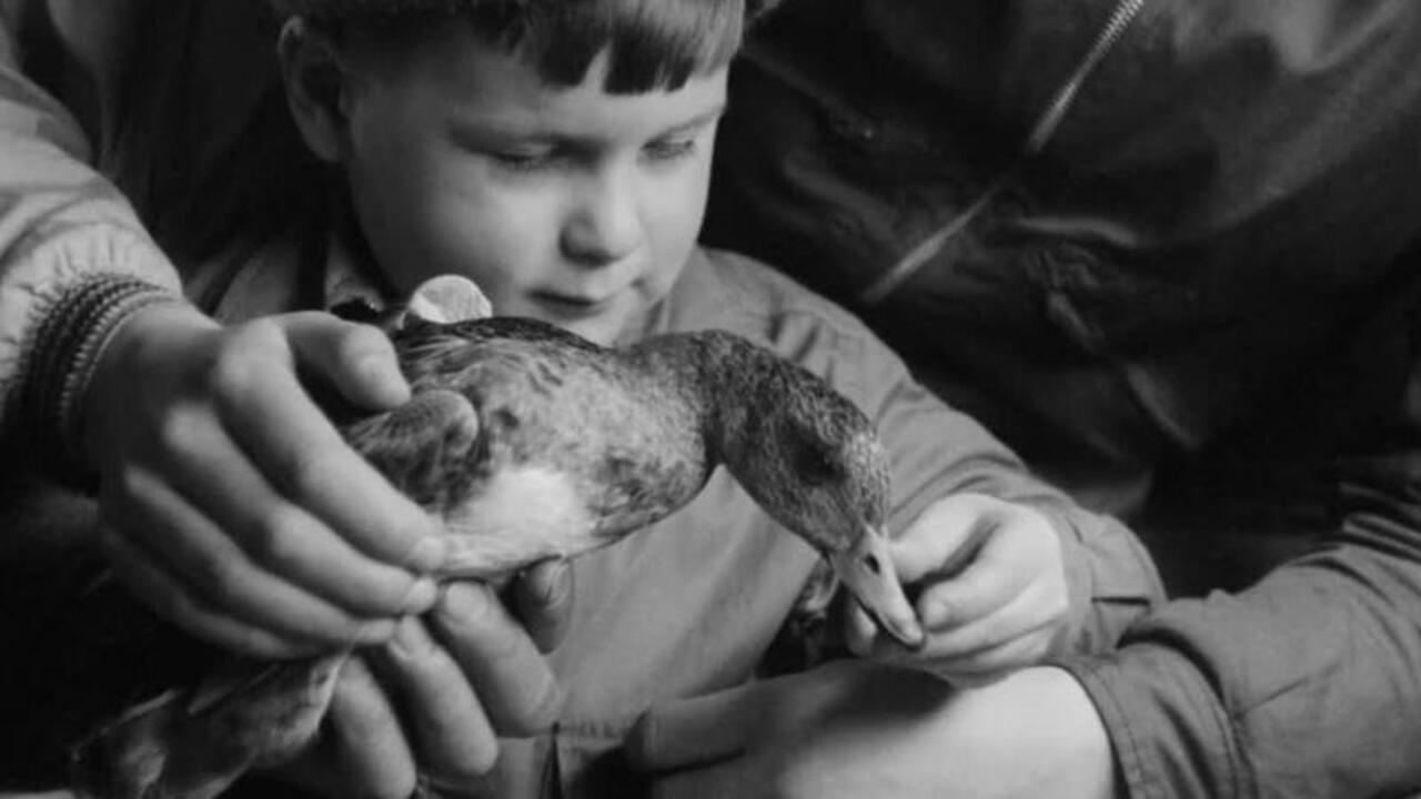 A Journal of the Outdoors No. 11 1953 movie scene