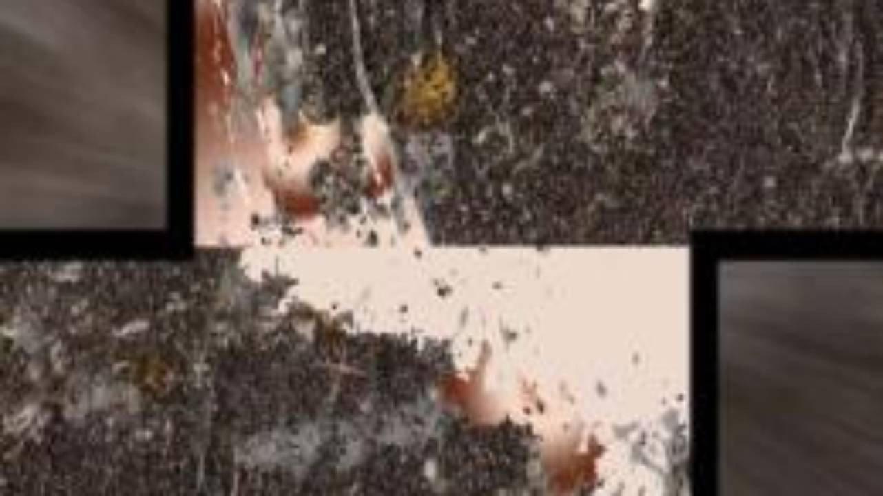 Faqir 2006 movie scene