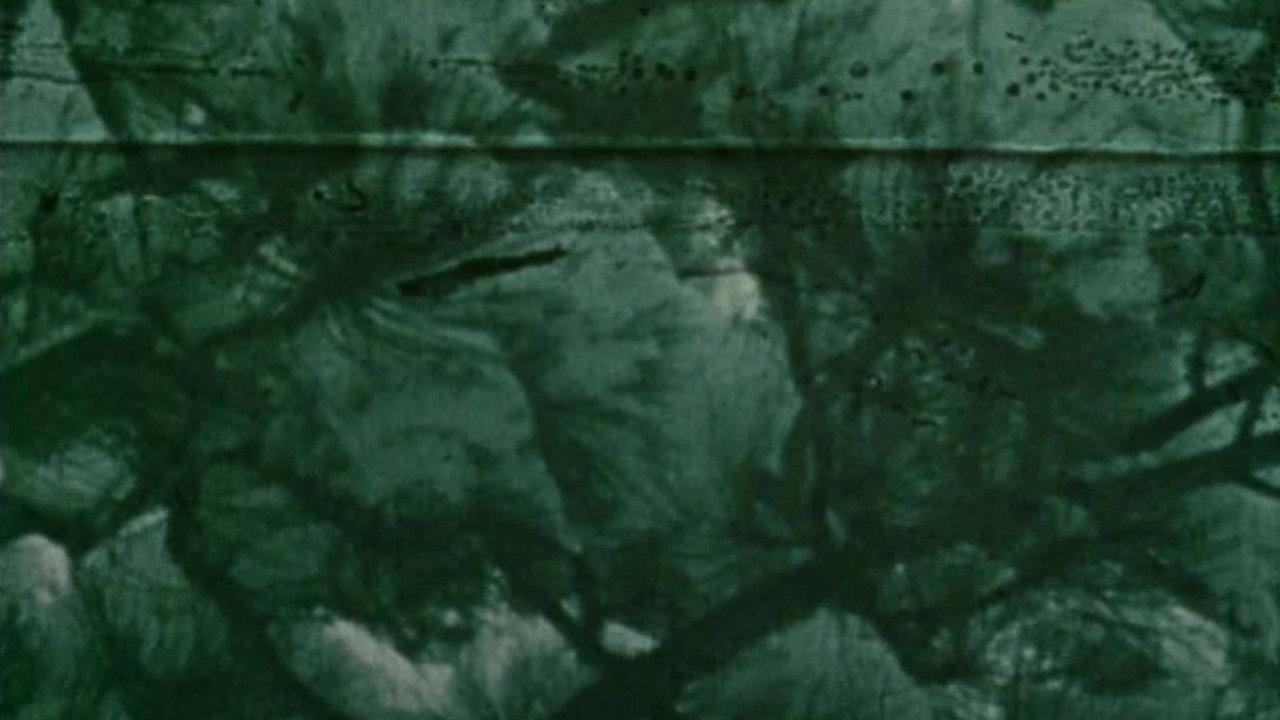 Dog Star Man: Part II 1964 movie scene