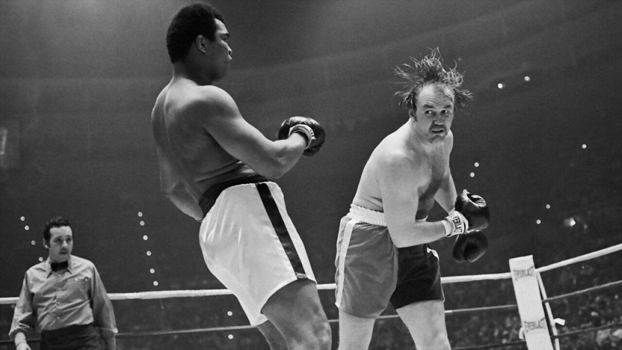 The Real Rocky 2011 movie scene