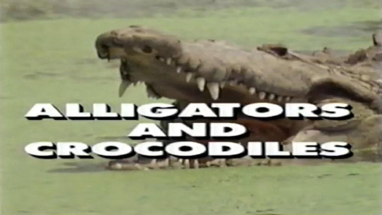 Predators of the Wild: Crocodiles and Alligators 1994 movie scene