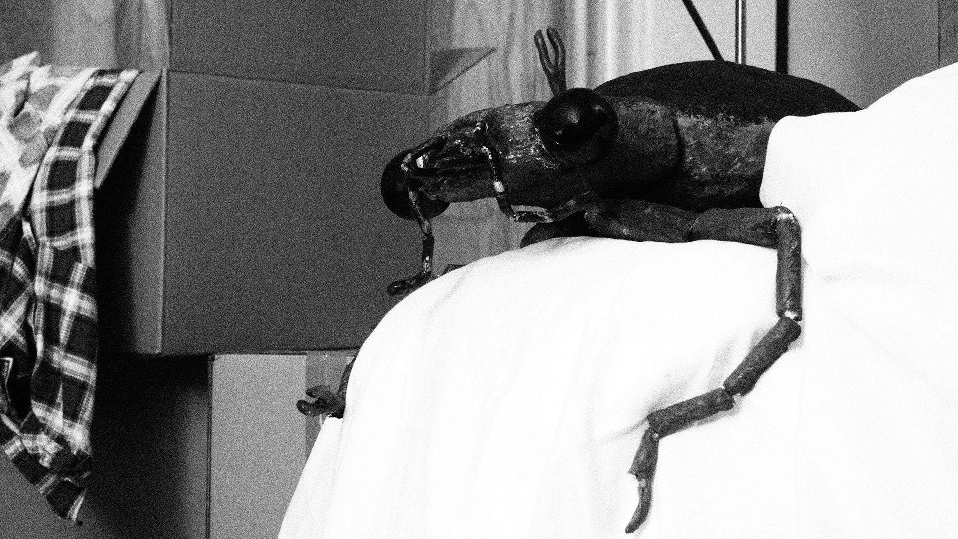 Bug in the Bathtub 2024 movie scene