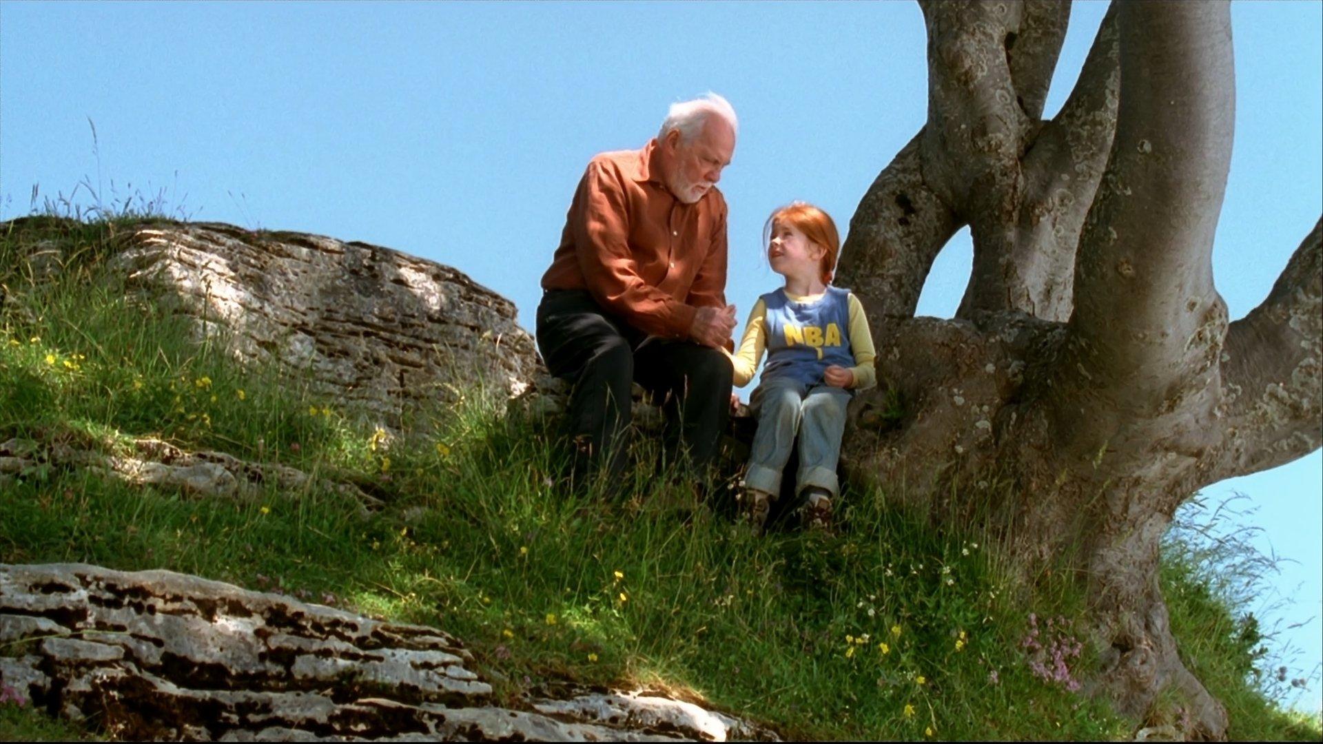 The Butterfly 2002 movie scene