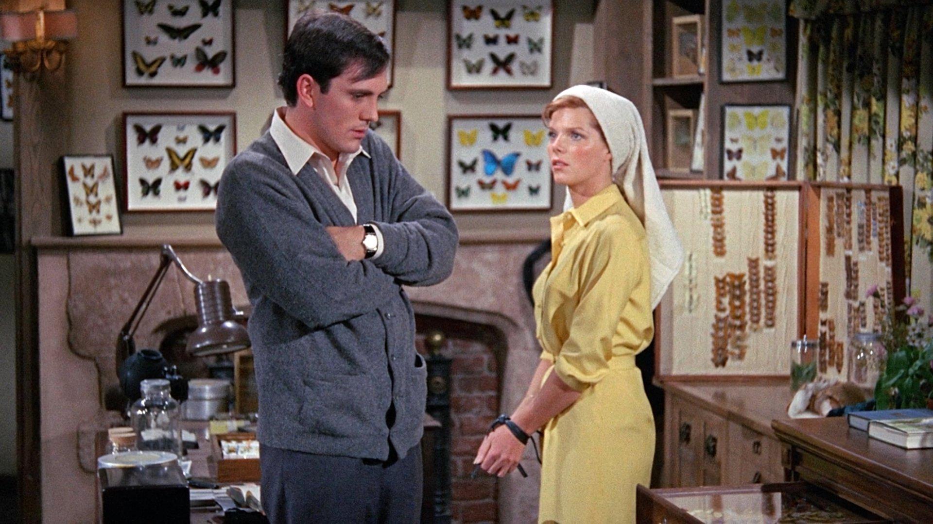 The Collector 1965 movie scene