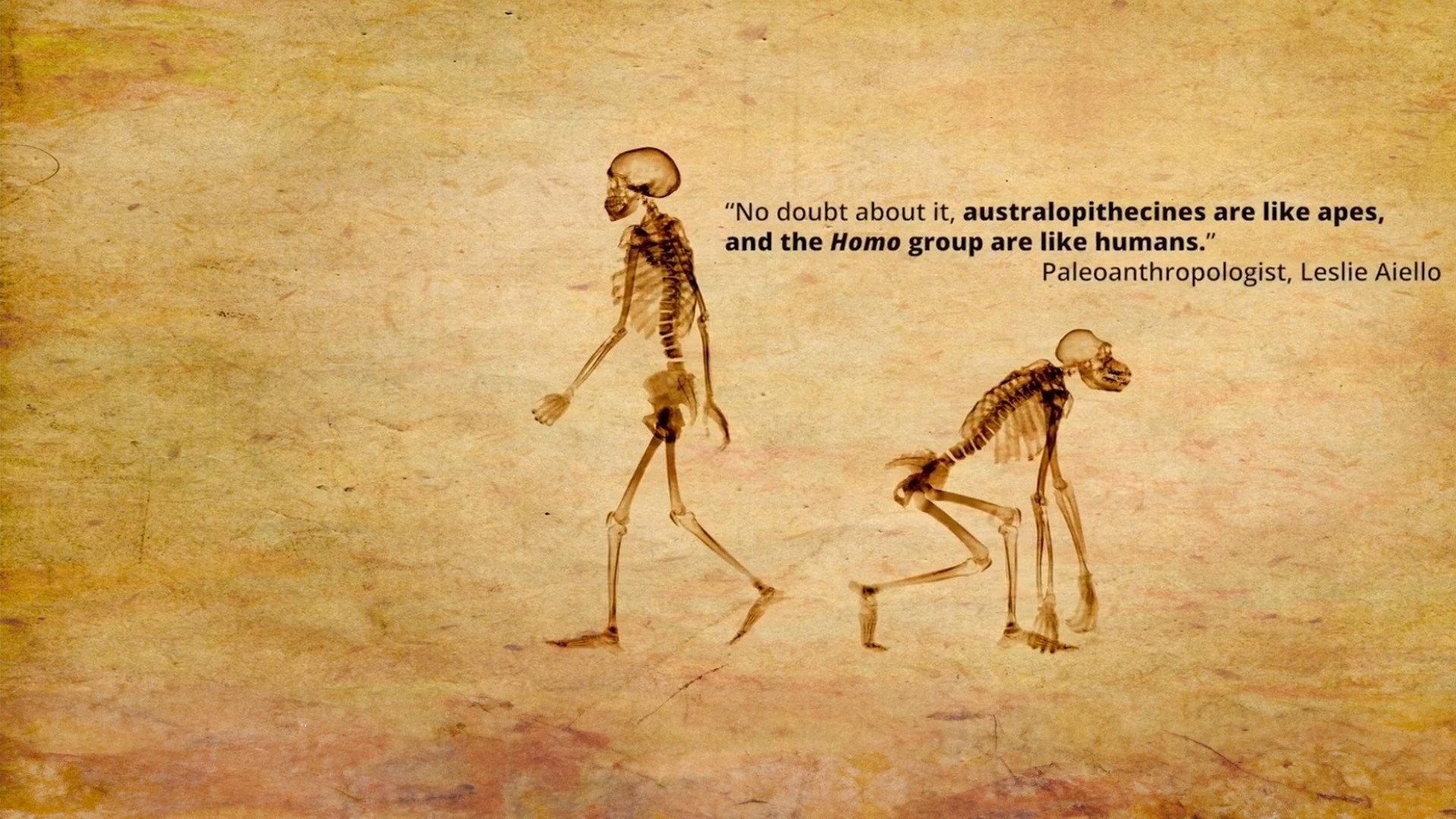 Dismantled: A Scientific Deconstruction of The Theory of Evolution 2020 movie scene