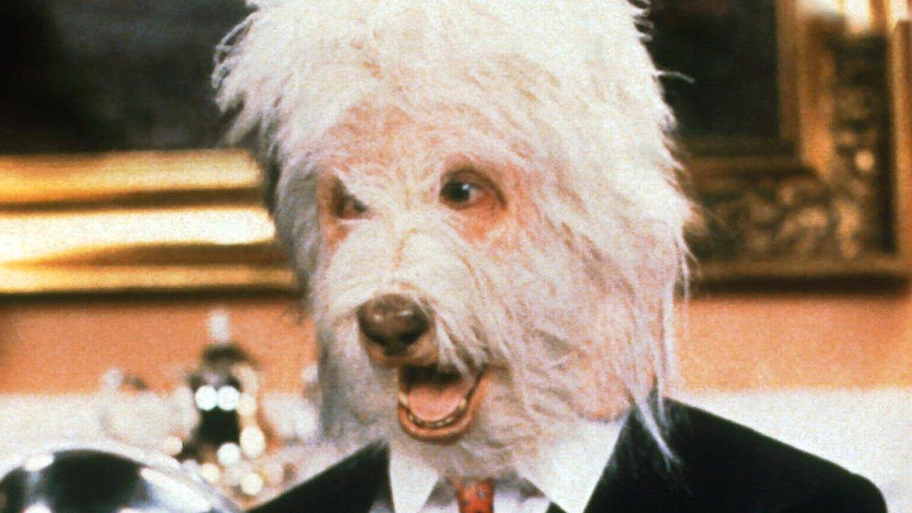 The Return of the Shaggy Dog 1987 movie scene