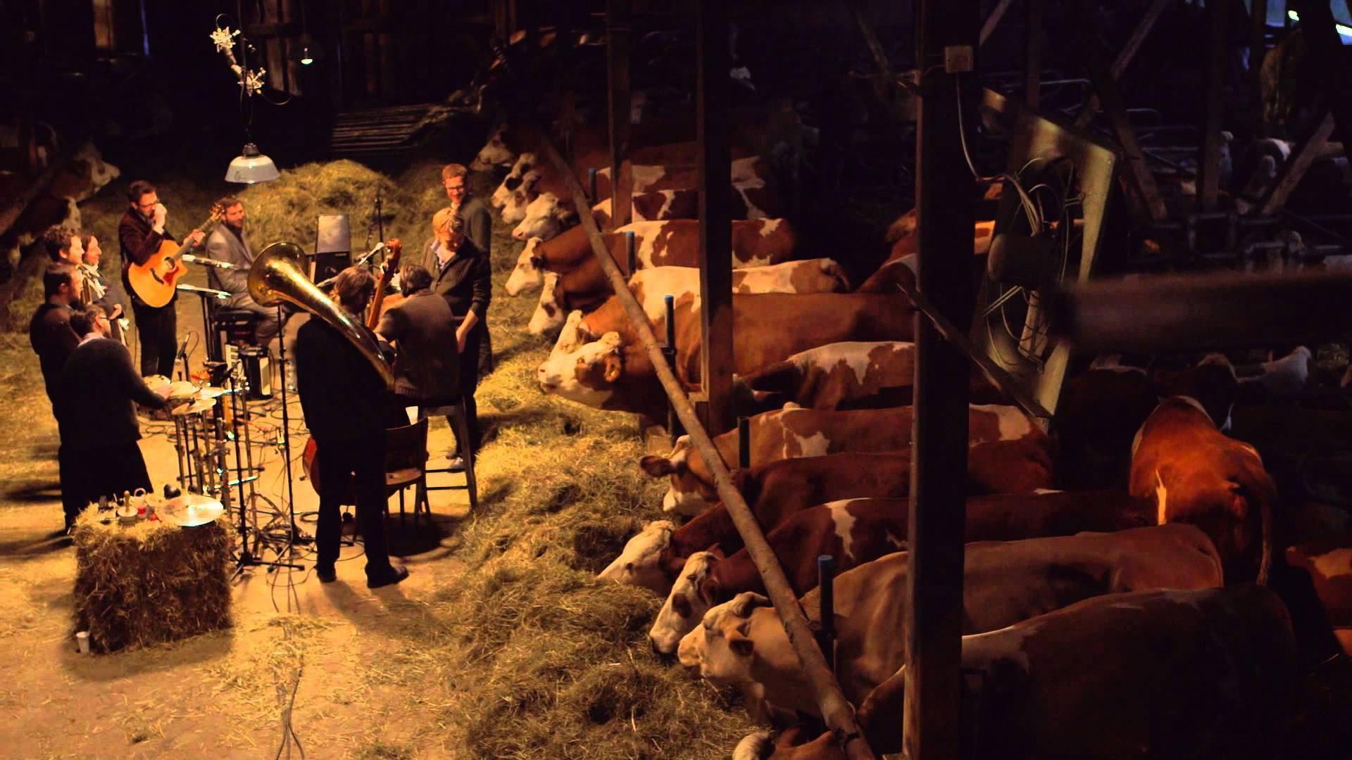 LaBrassBanda: Kiah Royal 2014 movie scene