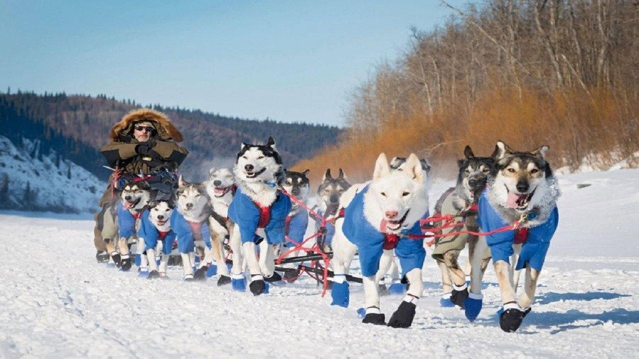 Siberian Odyssey 2006 movie scene