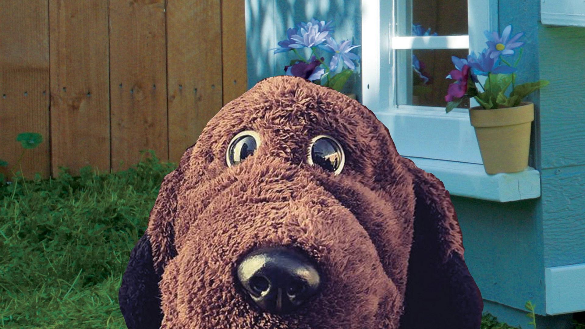 Allan The Dog 2020 movie scene