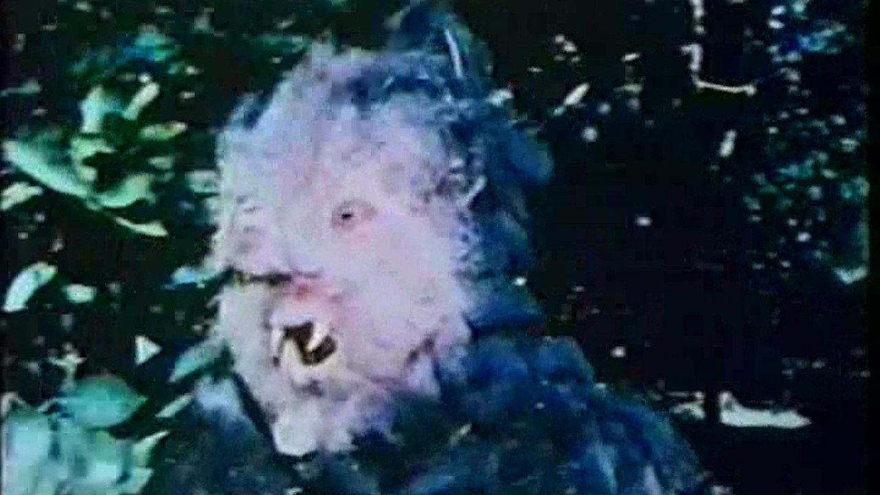 Curse of Bigfoot 1975 movie scene