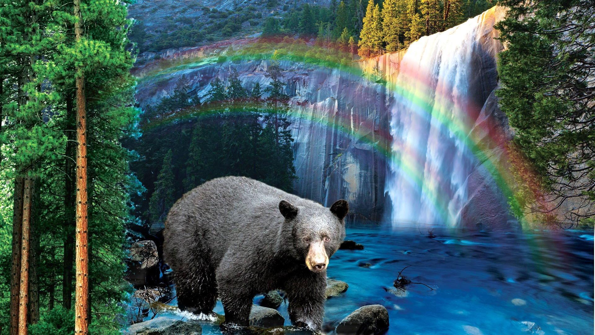 Yosemite: America's Treasure 2020 movie scene