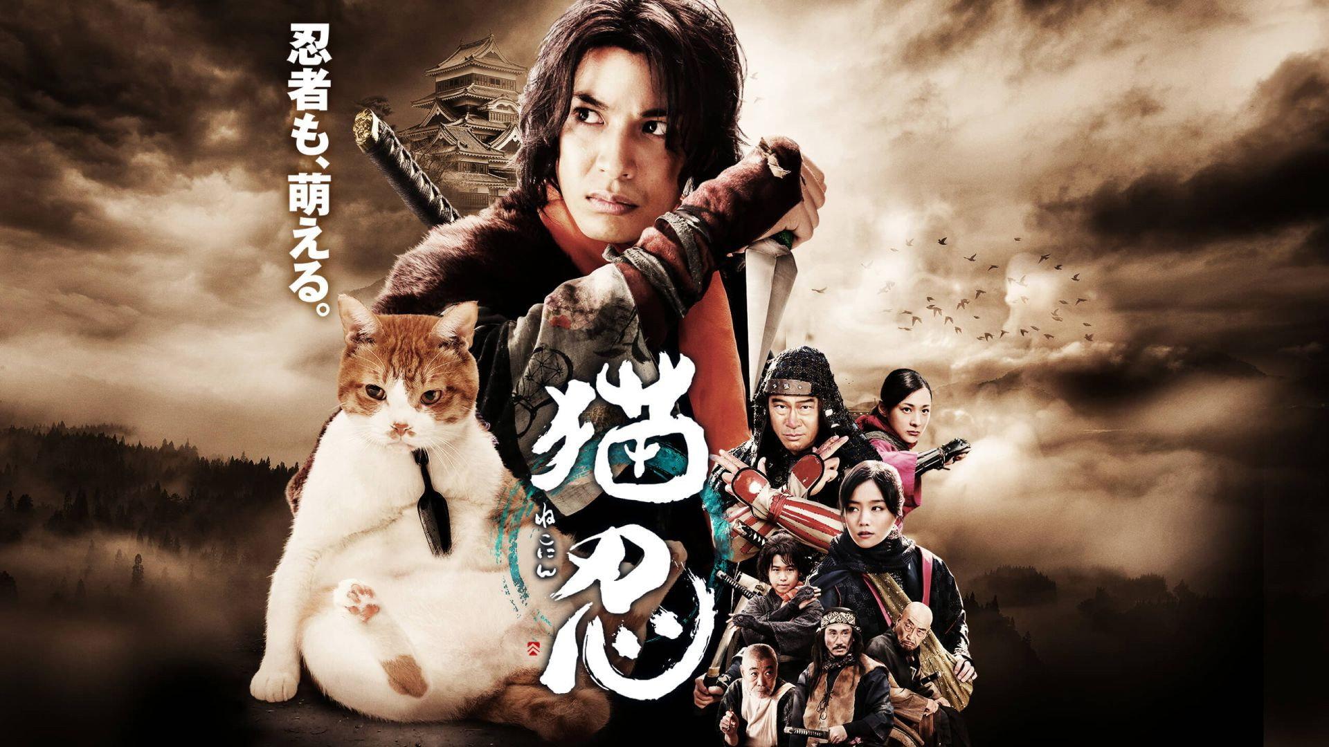 Neko Ninja 2017 movie scene