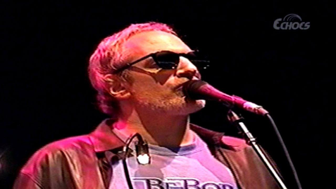 Steely Dan: Dilectus 2013 movie scene