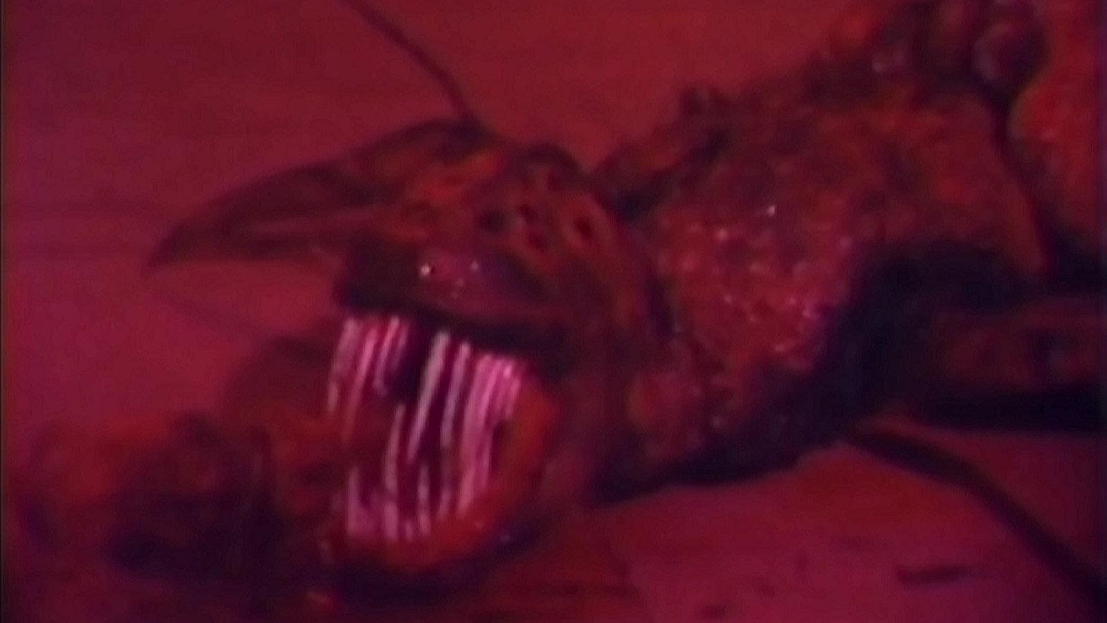 Things 1989 movie scene