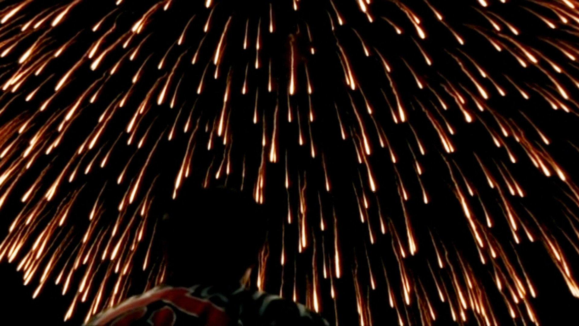 Fireworks from the Heart 2010 movie scene