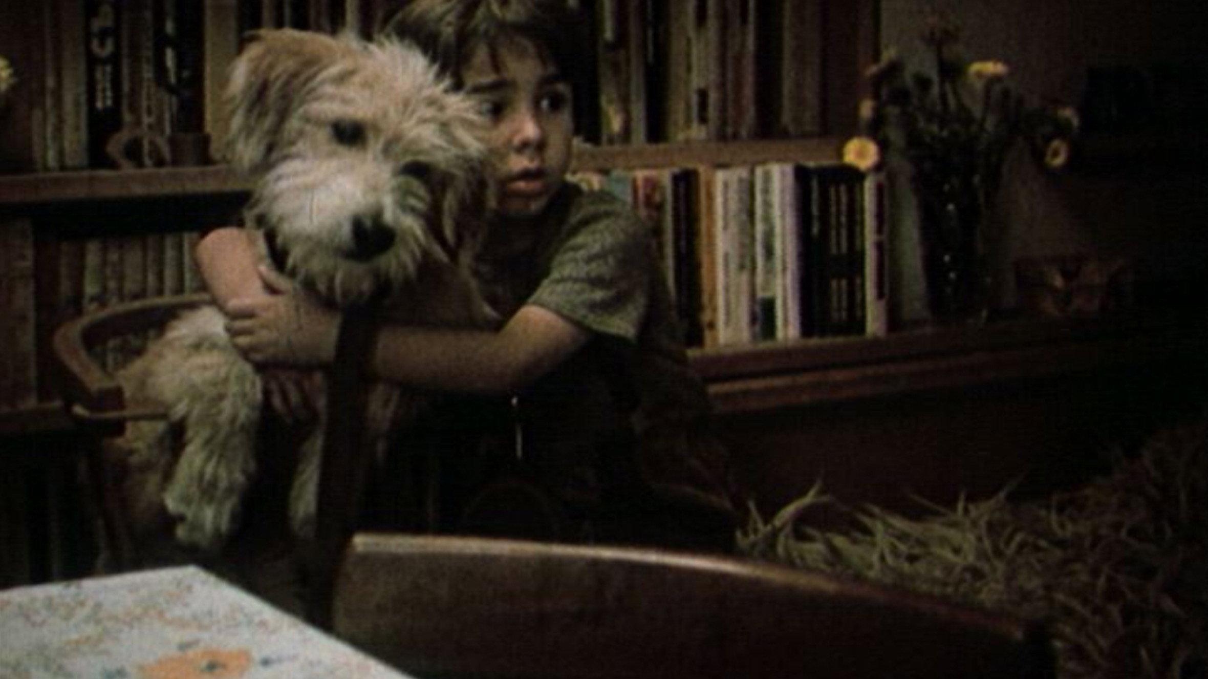 A Dog in a Drawer 1982 movie scene