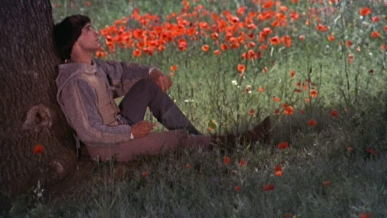 Brother Sun, Sister Moon 1972 movie scene