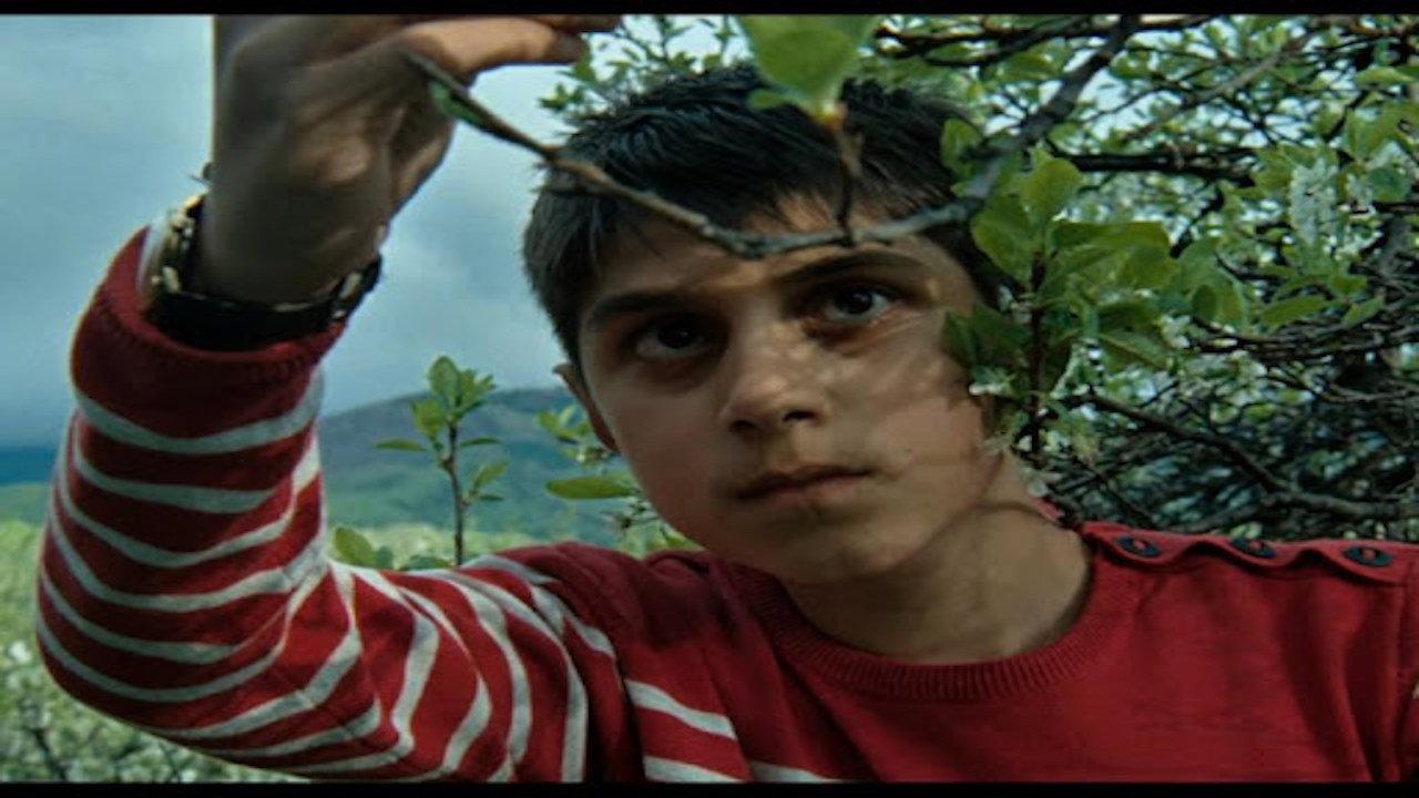 Matei Child Miner 2013 movie scene