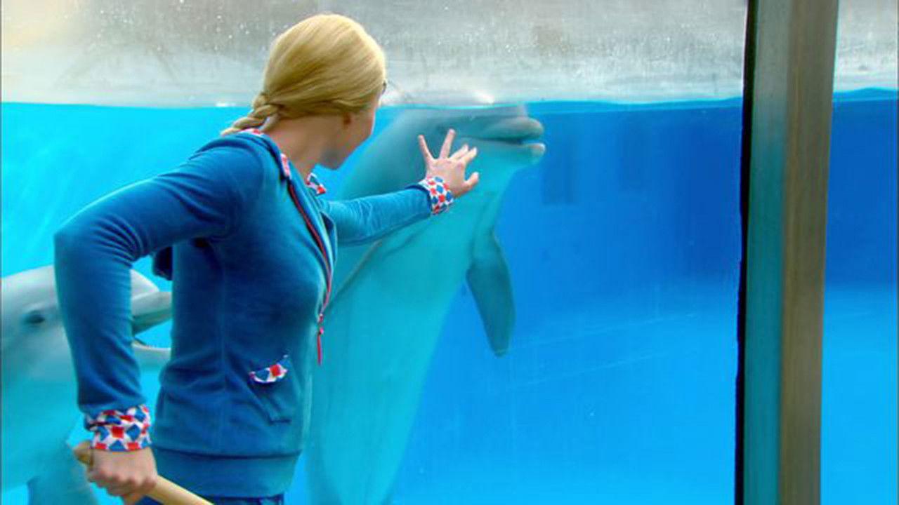 Mega Mindy: The Dolphin Robbery 2010 movie scene