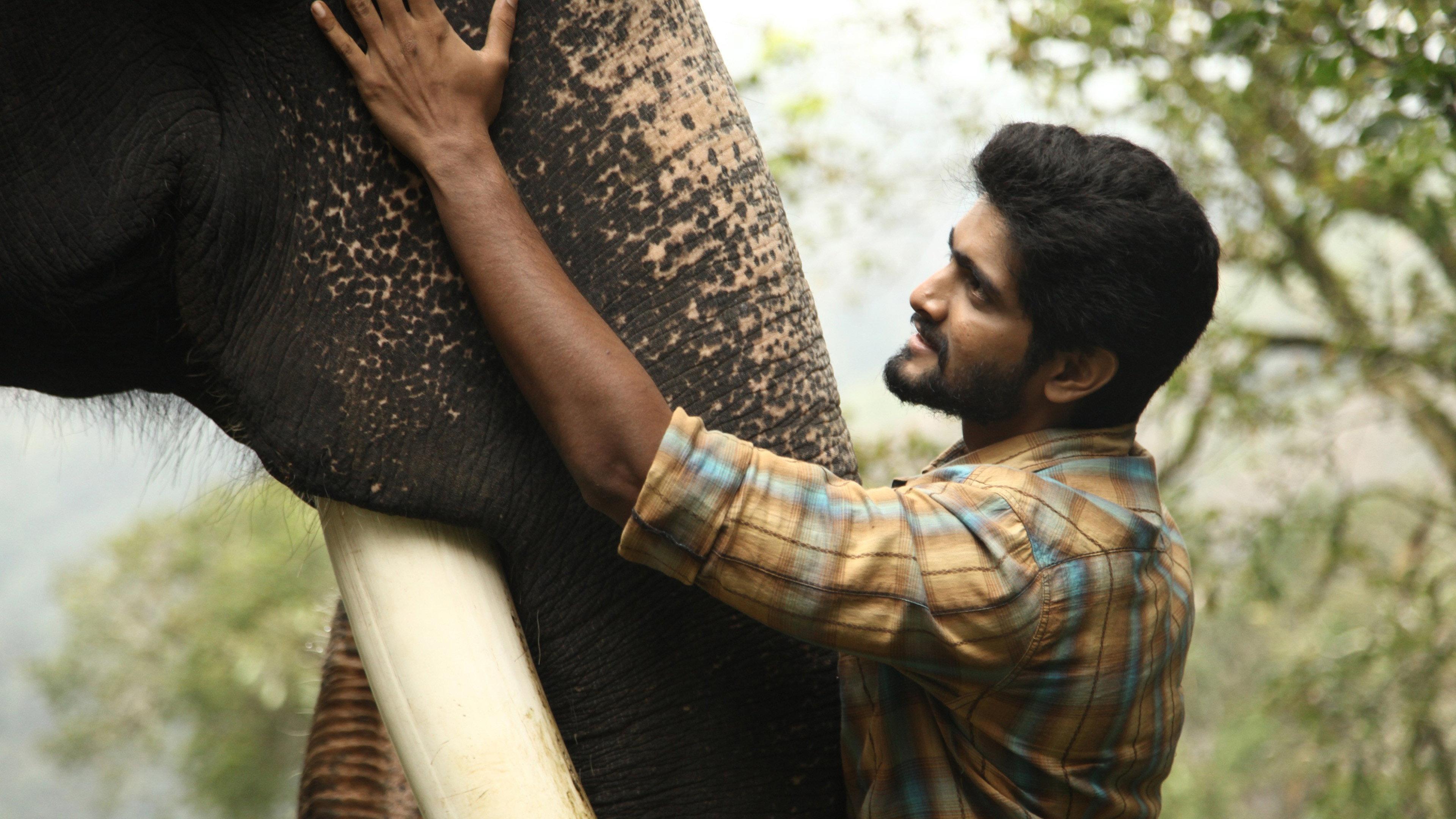 Kumki 2 2025 movie scene