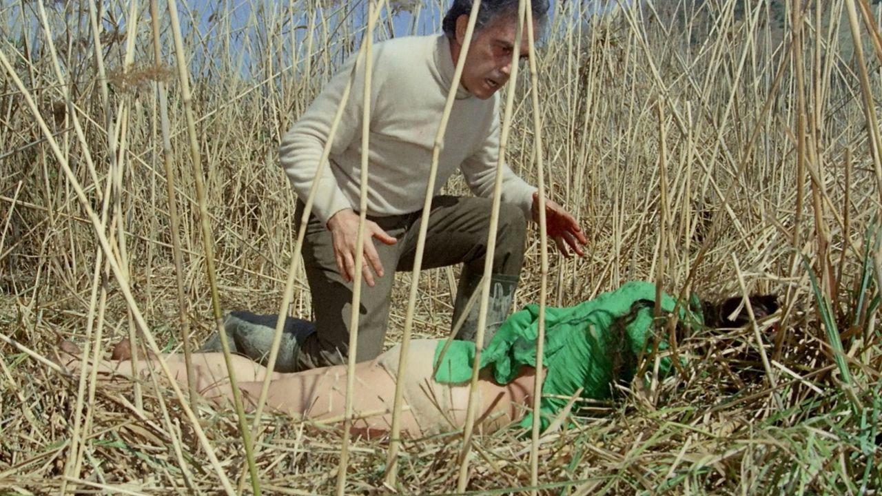 No, the Case Is Happily Resolved 1973 movie scene