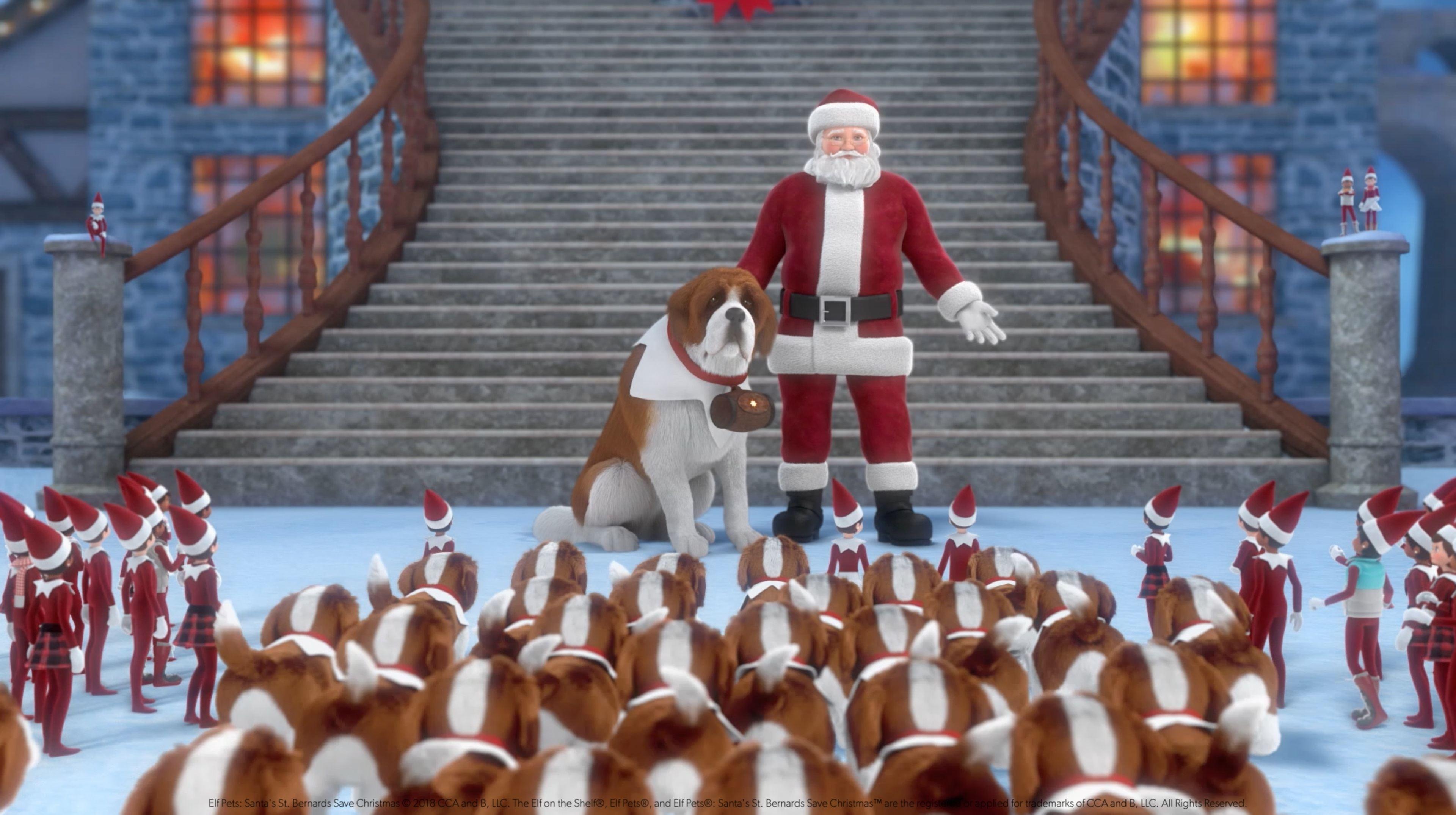 Elf Pets: Santa's St. Bernards Save Christmas 2018 movie scene