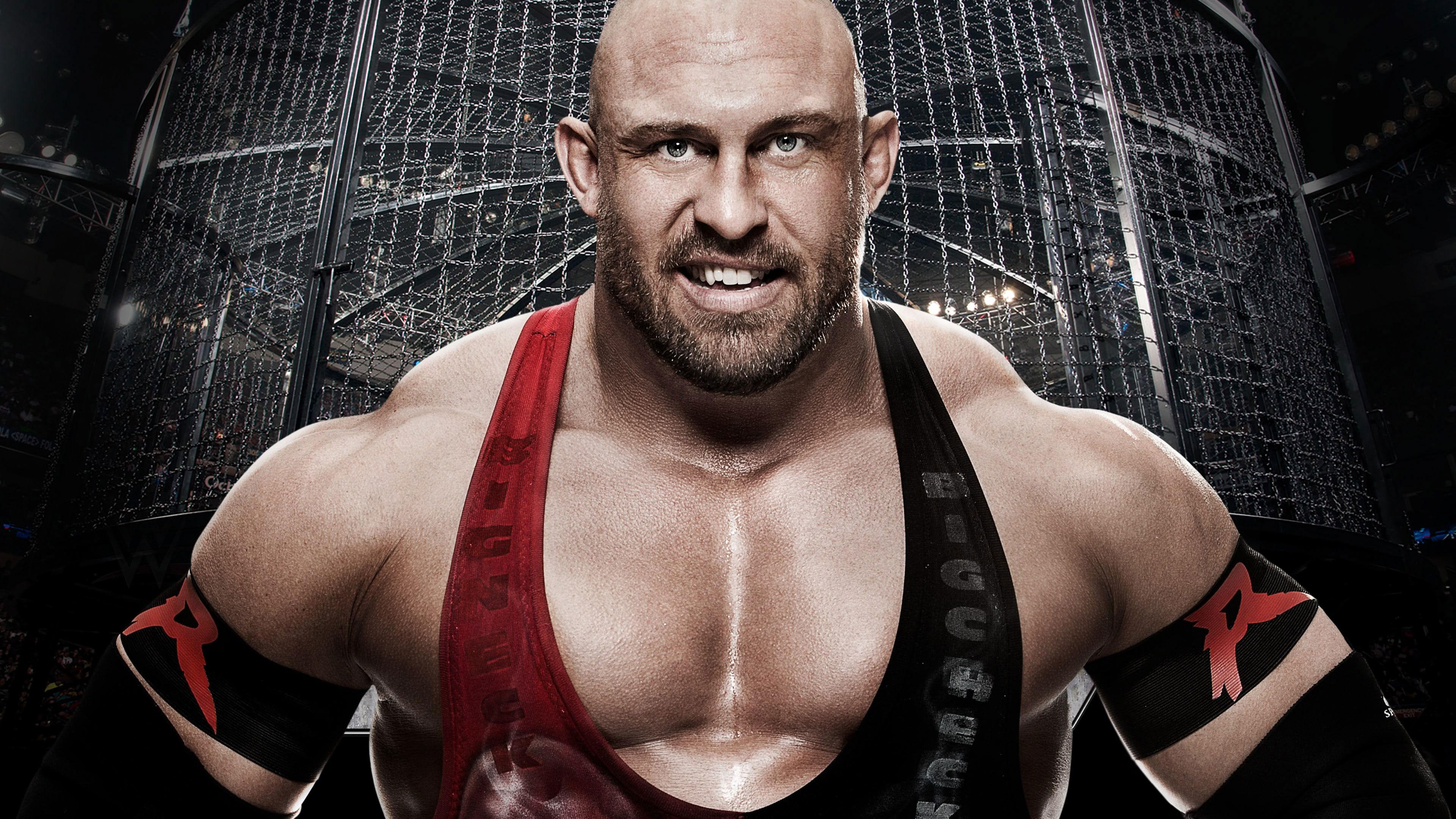 WWE Elimination Chamber 2015 2015 movie scene