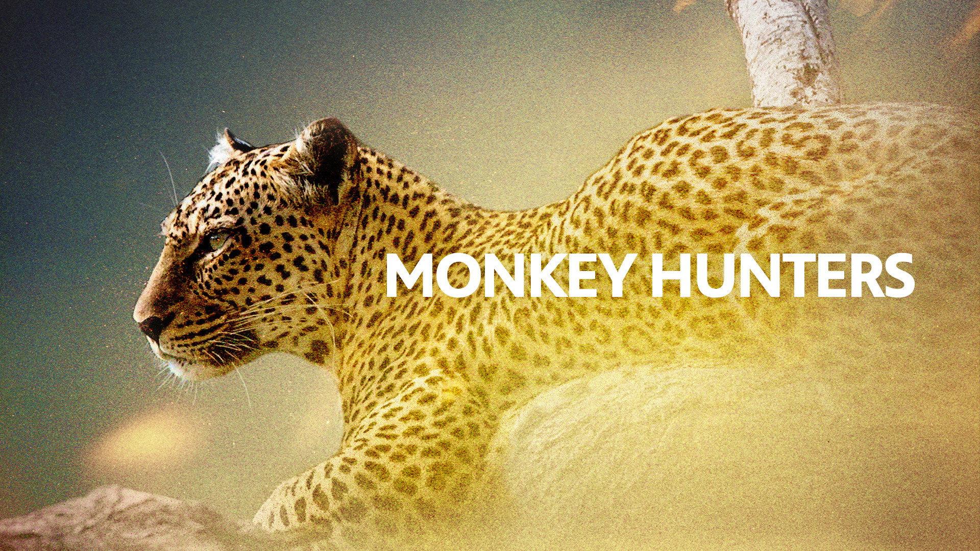 Monkey Hunters 2004 movie scene