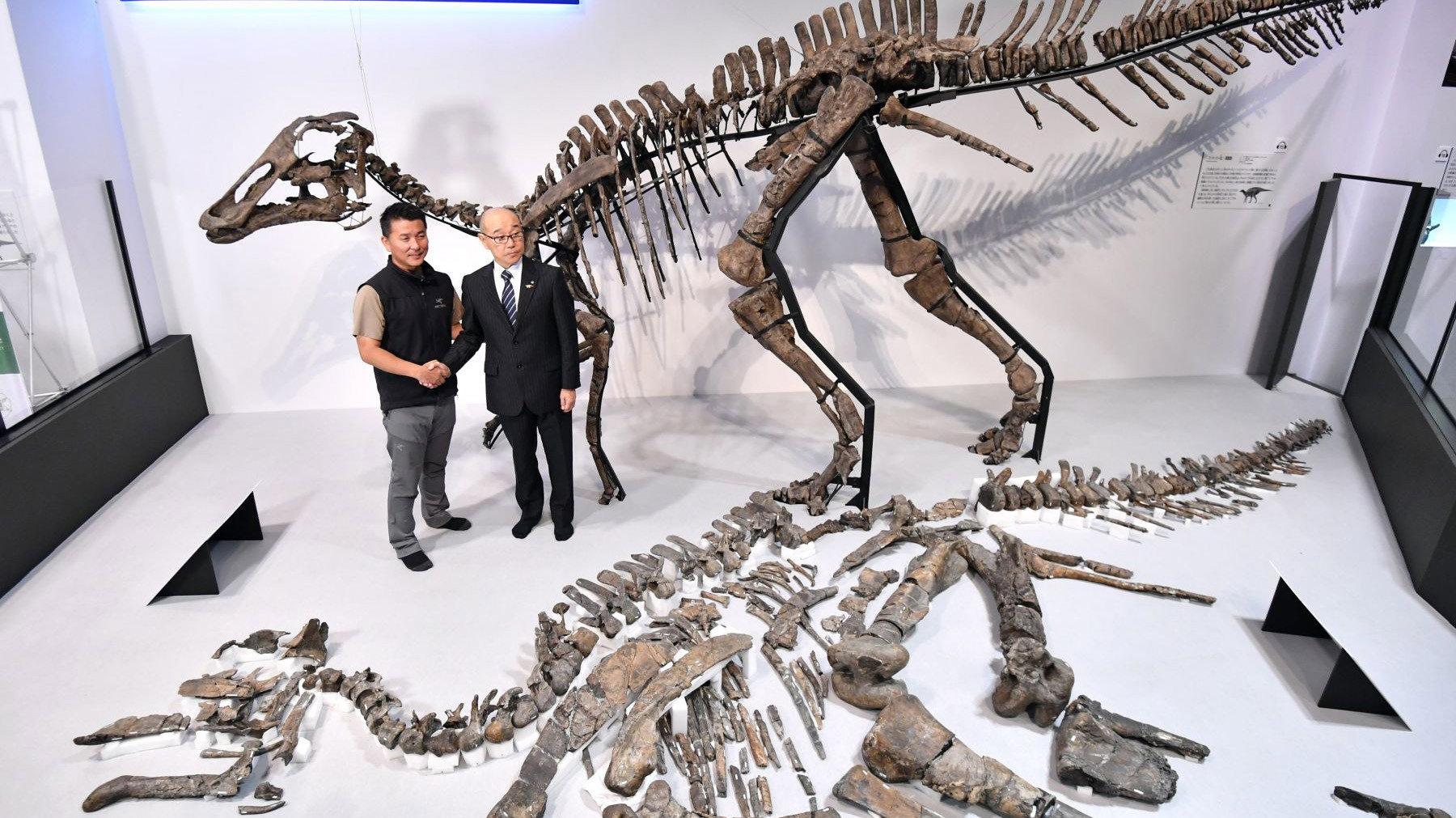 Discovery of the Century — The Great Dinosaur of Japan 2018 movie scene