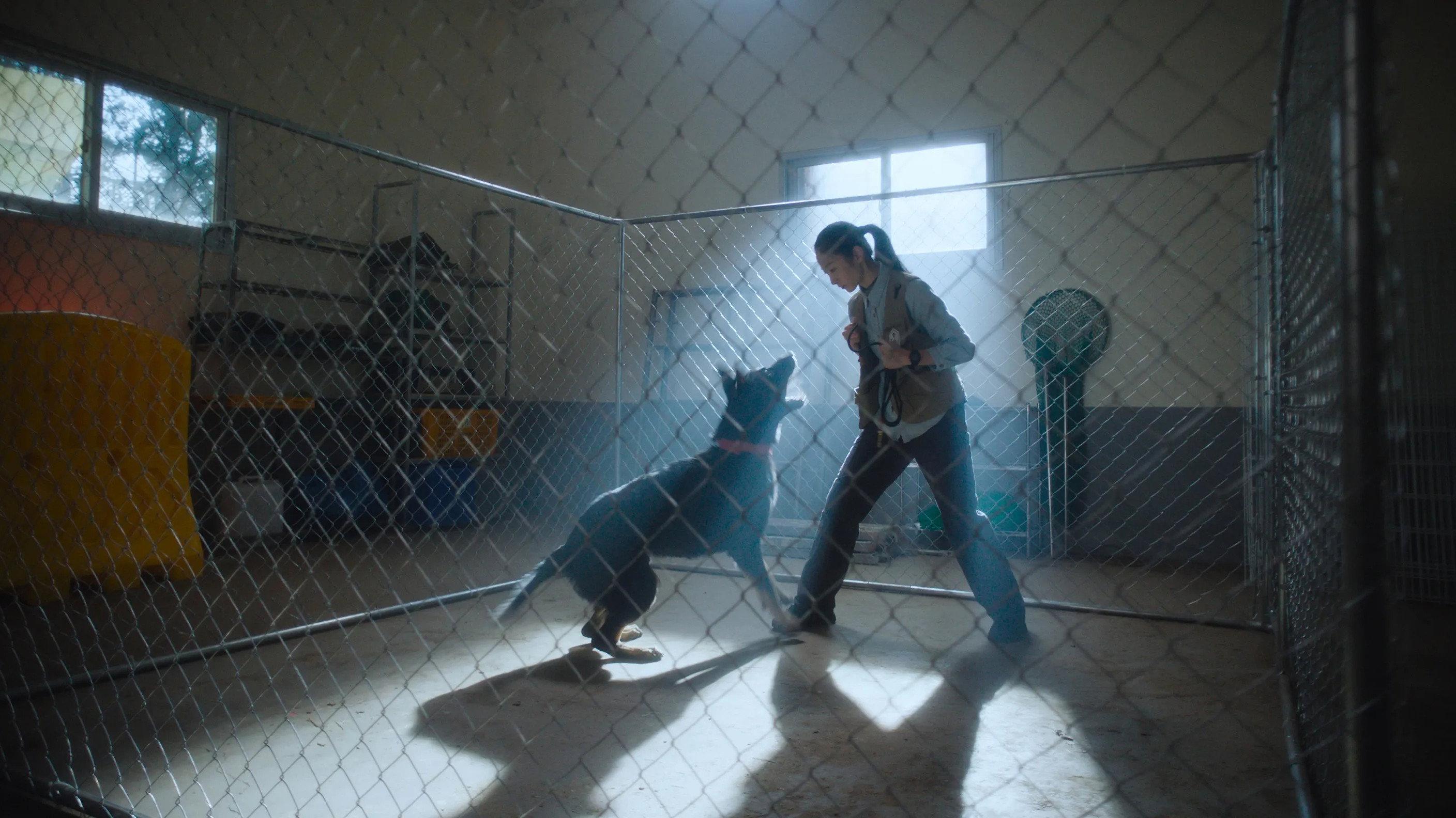 Wrangler 2026 movie scene