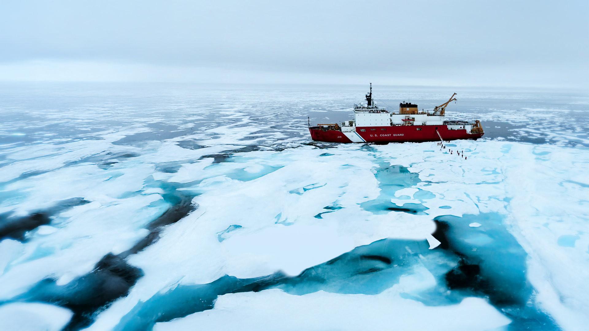 Race for the Arctic 2025 movie scene