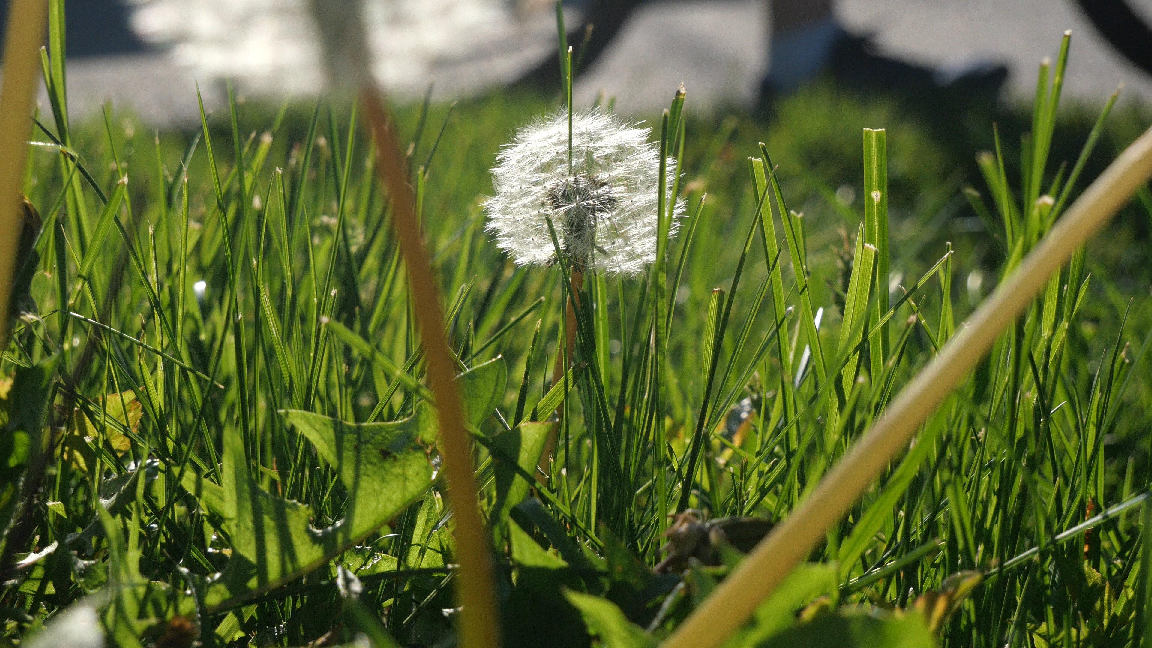 The Beauty Of Summer Like Weather 2024 movie scene