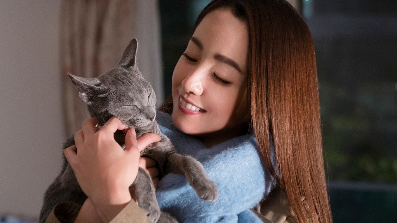 The Cat in Their Arms 2018 movie scene