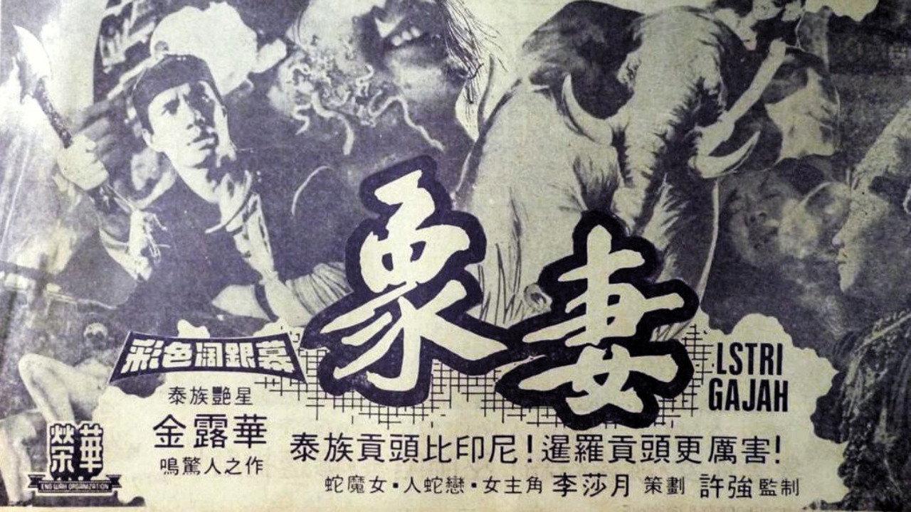 Elephant Wife 1980 movie scene