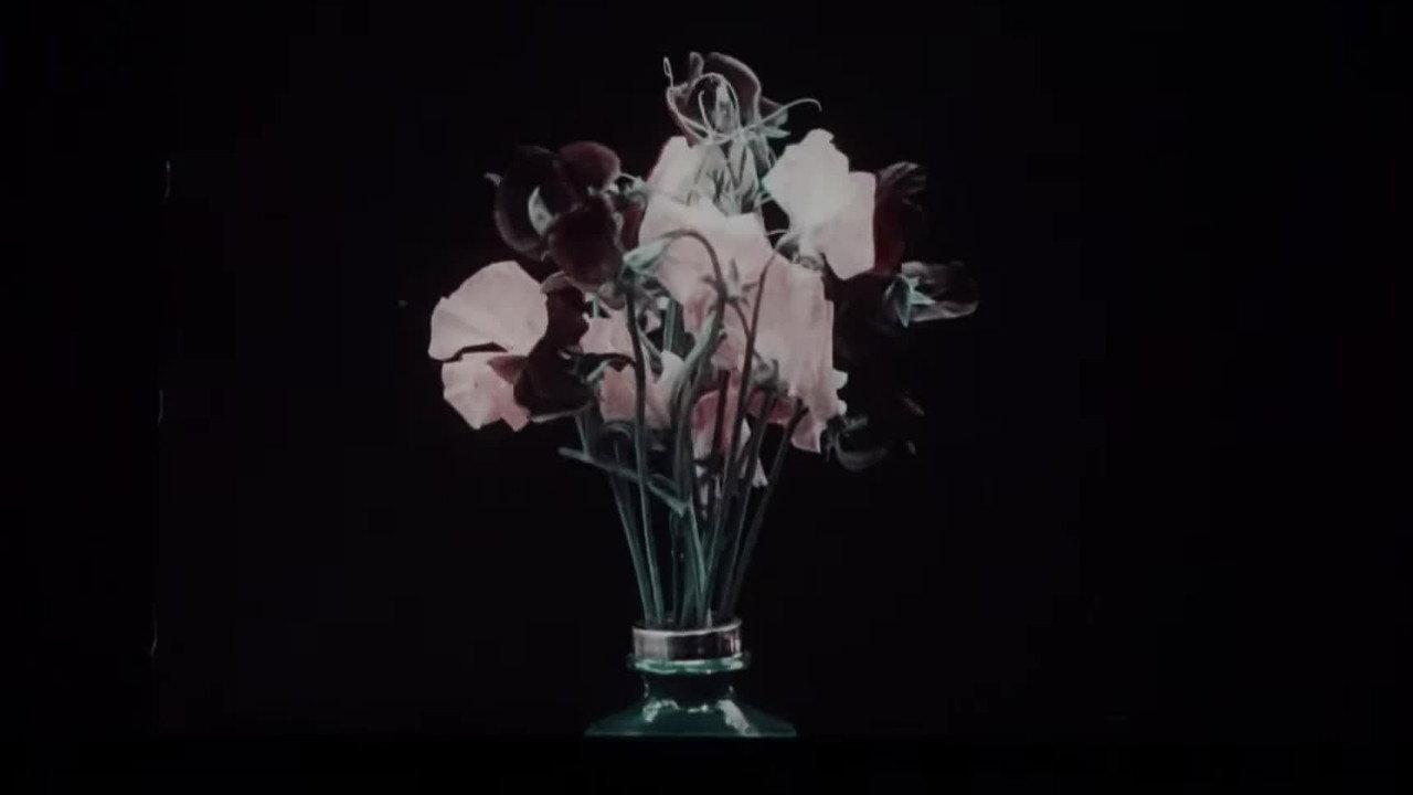 Varieties of Sweet Peas 1911 movie scene