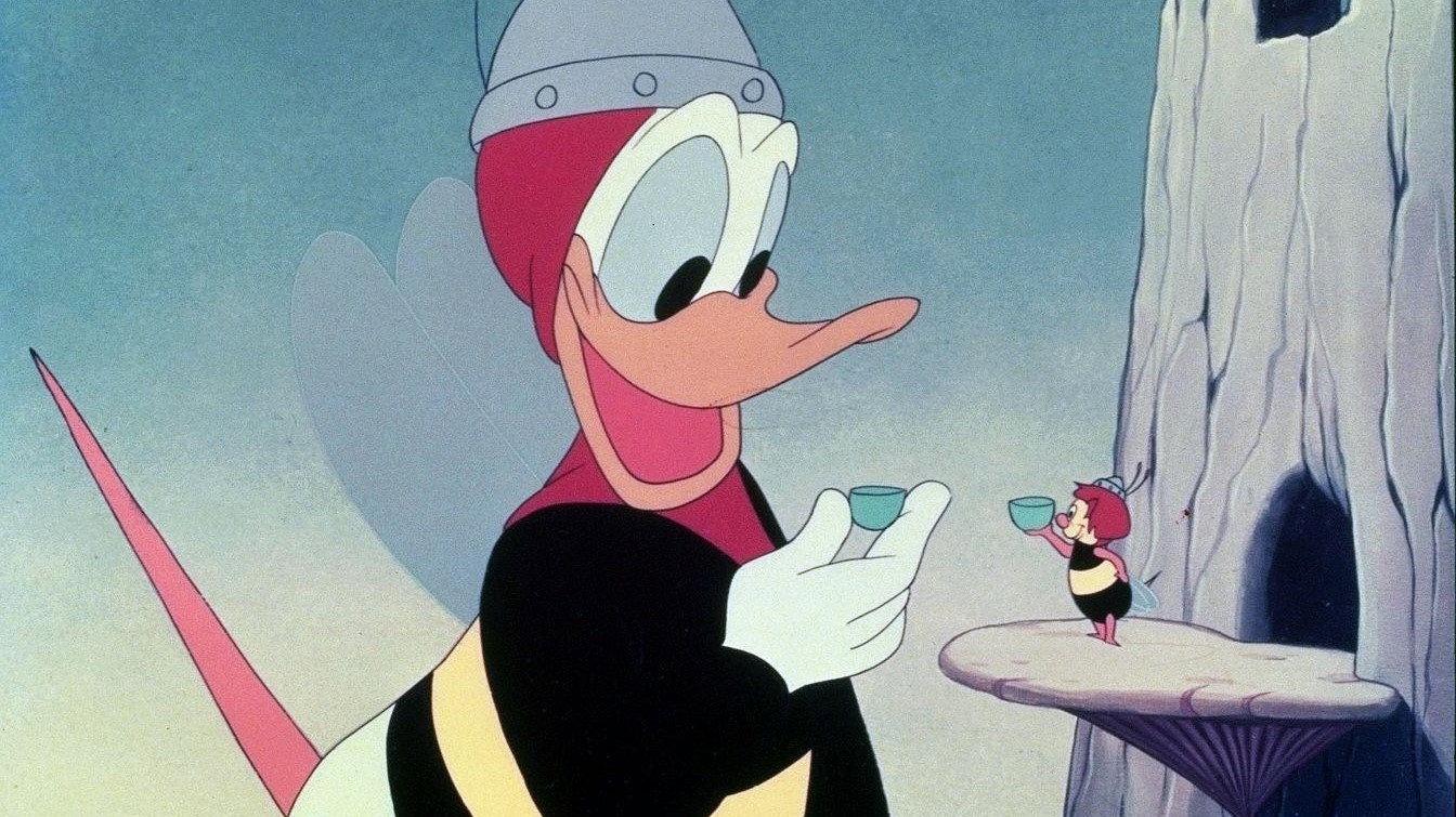 Bee On Guard 1951 movie scene