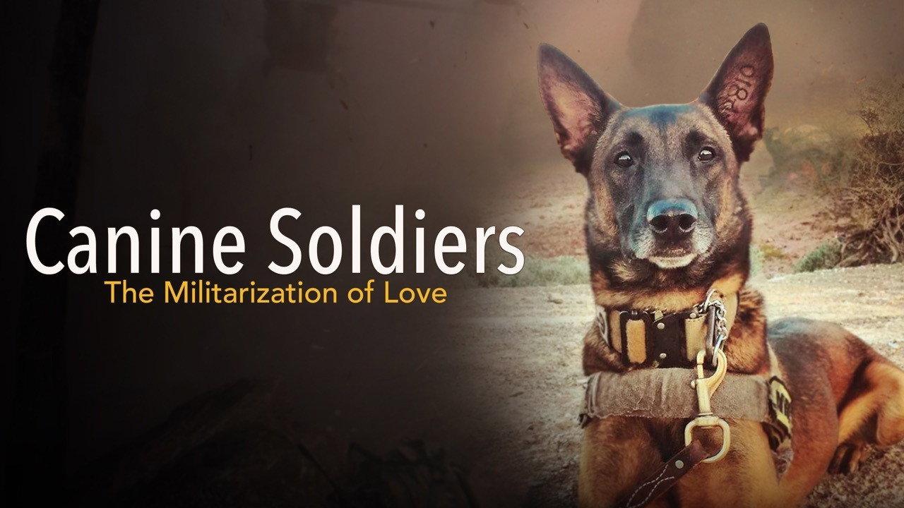 Canine Soldiers: The Militarization of Love 2016 movie scene