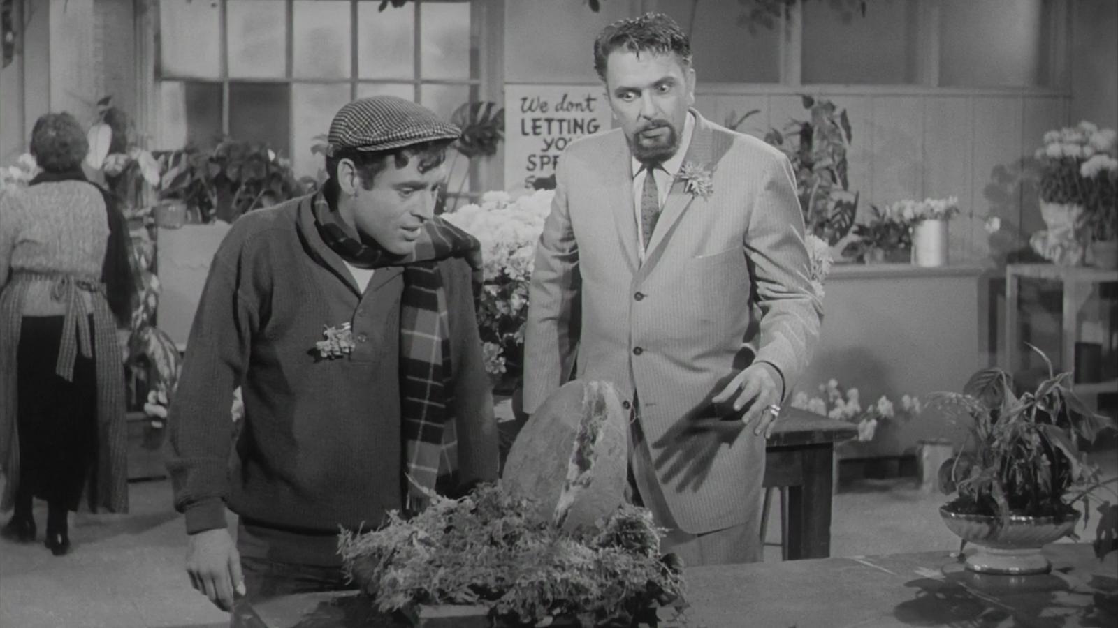 The Little Shop of Horrors 1960 movie scene
