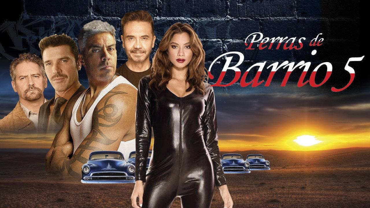 Perras de barrio 5 2019 movie scene
