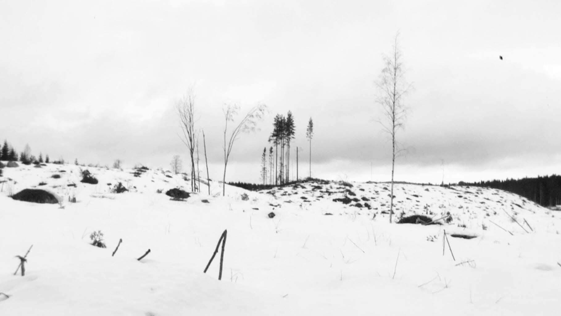 Winterreise 2021 movie scene