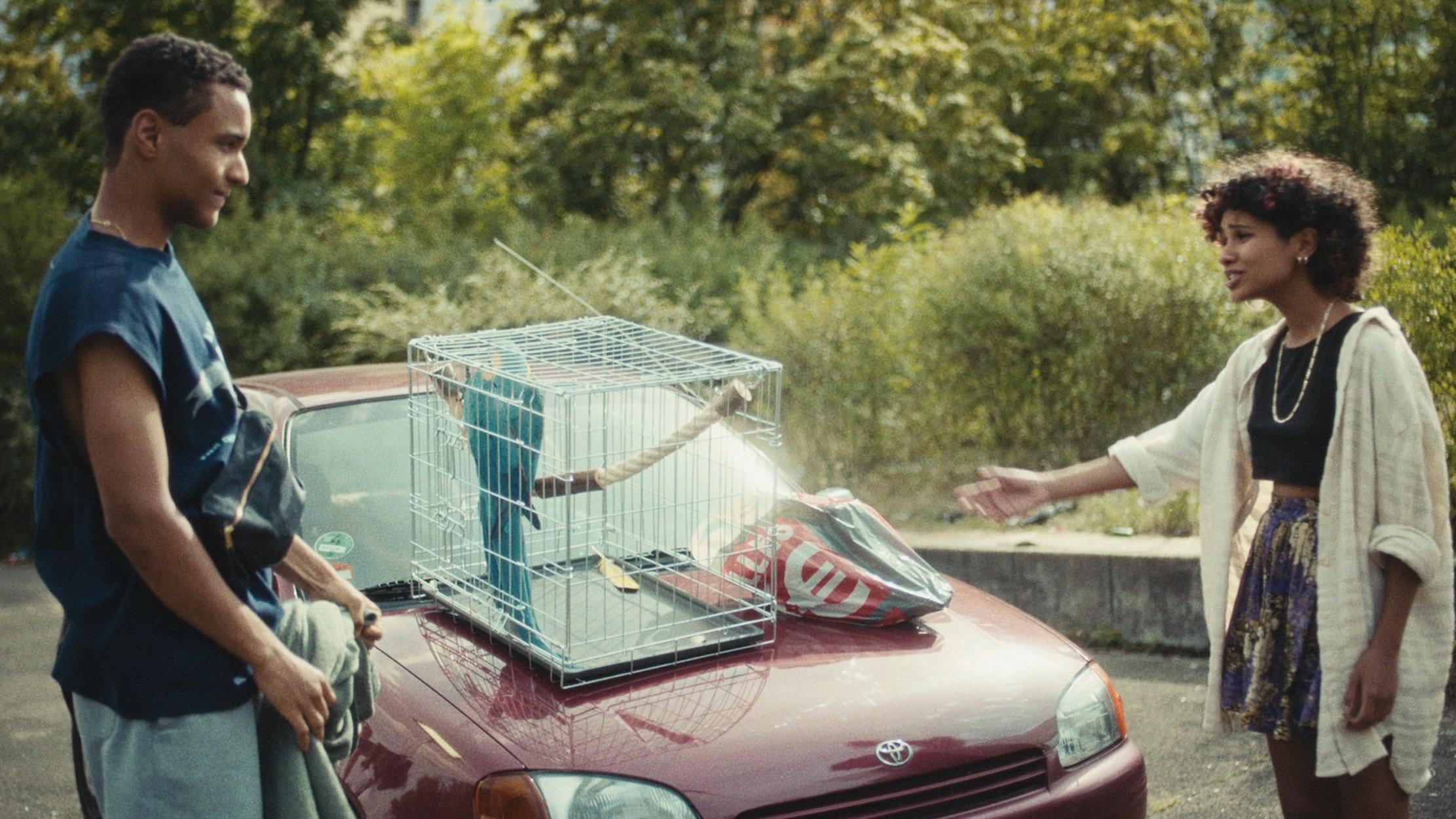 Bird of Paradise 2021 movie scene