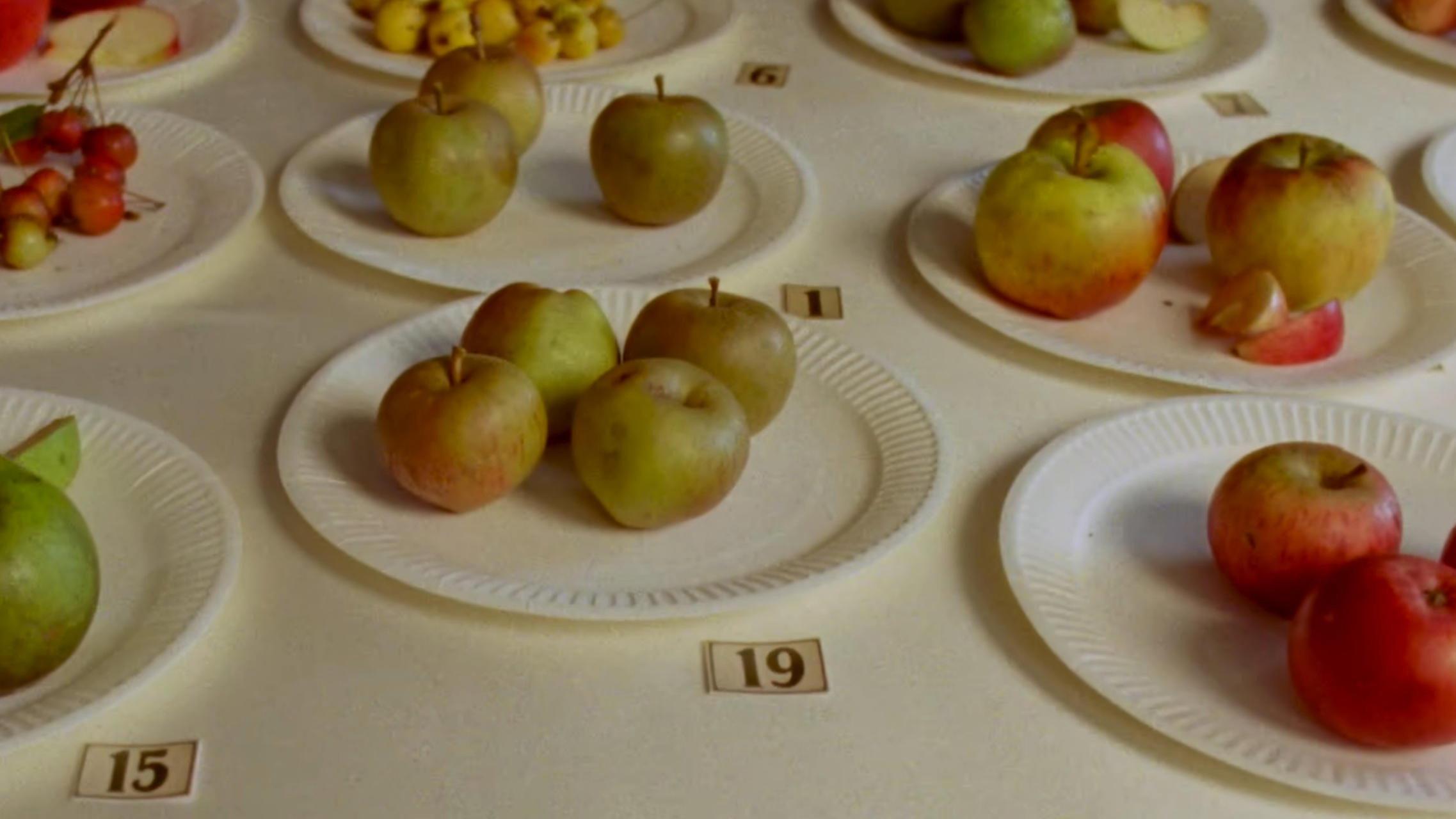 Some Interesting Apples 2025 movie scene