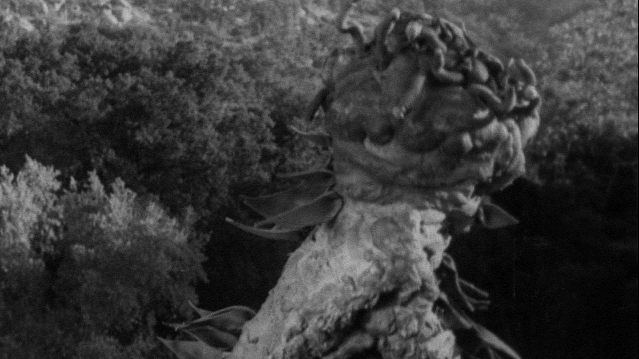 The Creeping Terror 1964 movie scene
