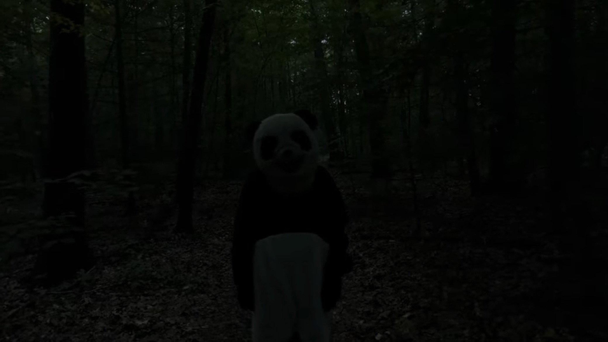 The Wild Panda 2022 movie scene