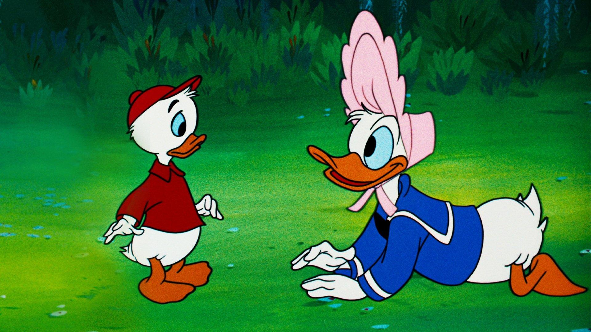 Don's Fountain of Youth 1953 movie scene