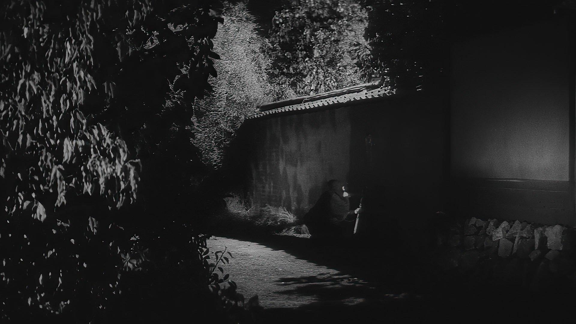 Ninja, A Band of Assassins 1962 movie scene