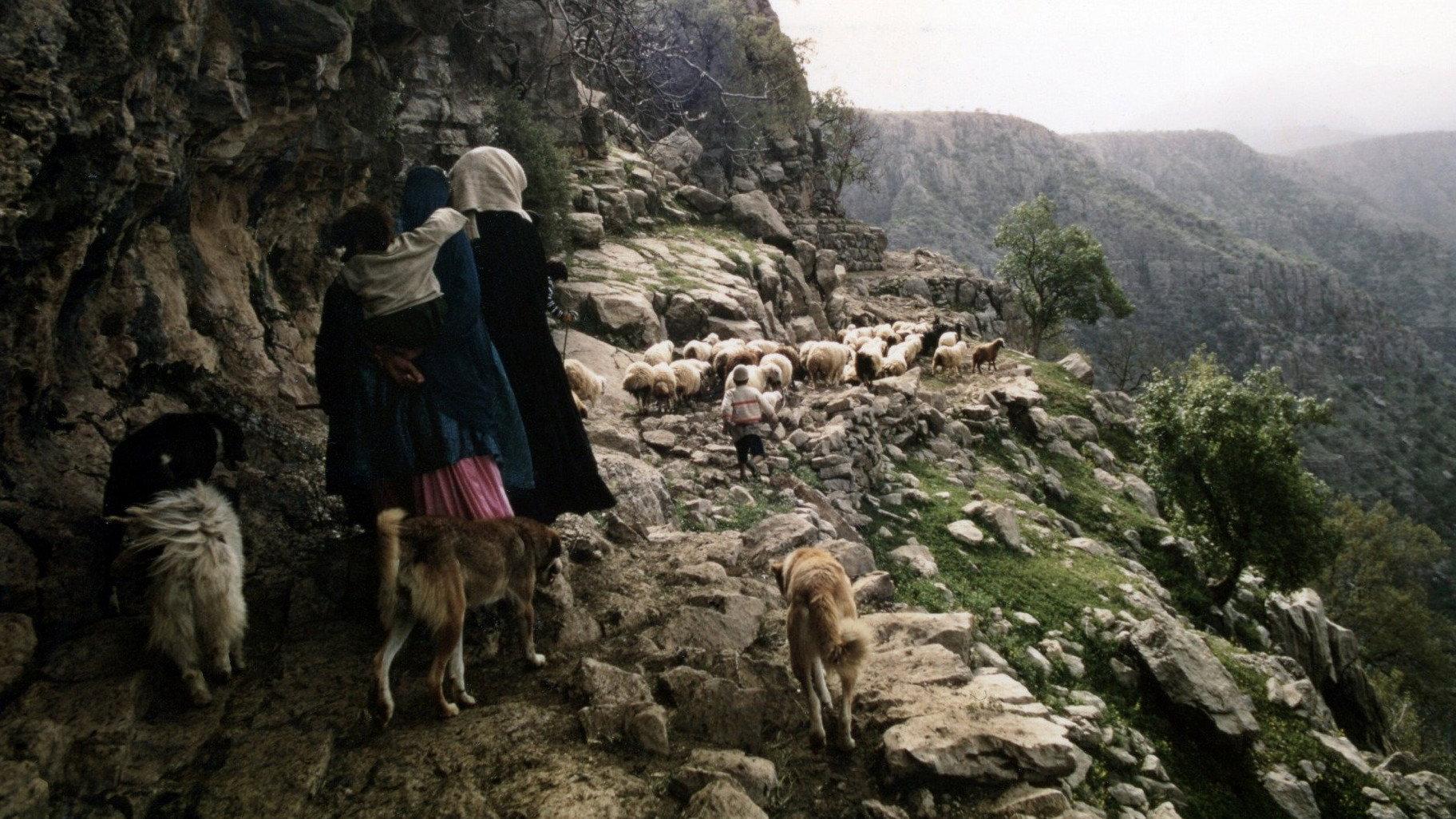 People of the Wind 1976 movie scene