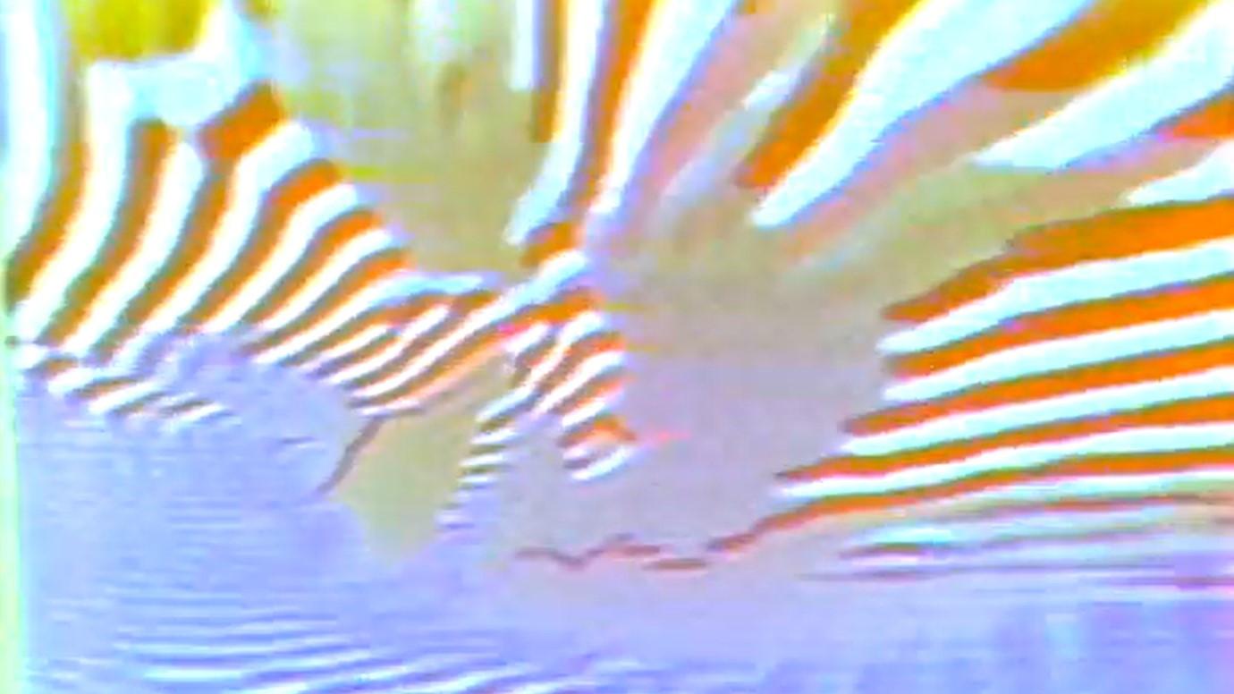 Feedback Stroboscopy 1975 movie scene