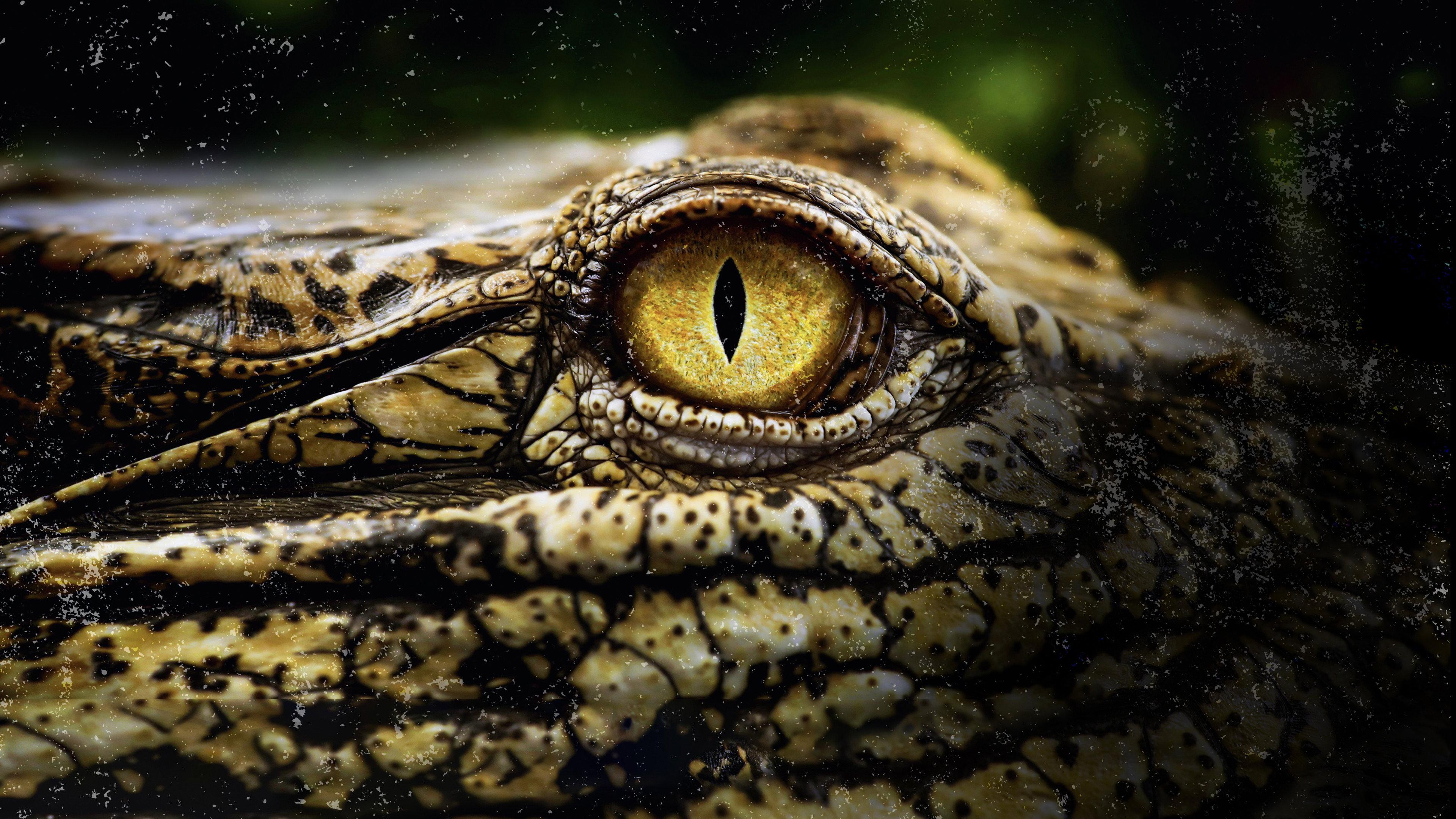 Crocodiles Revealed 2022 movie scene