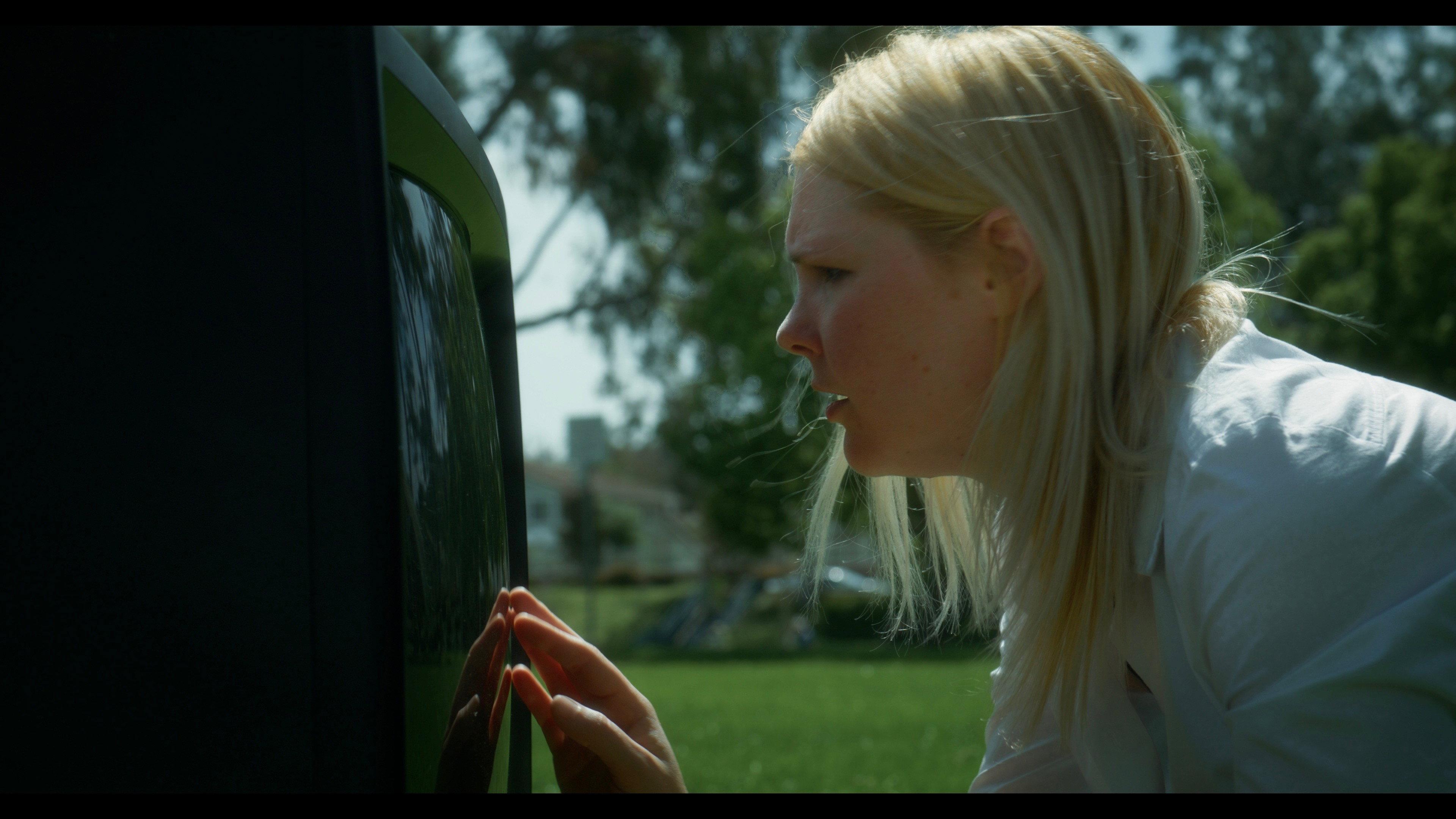 The Gemini in the Garden  movie scene